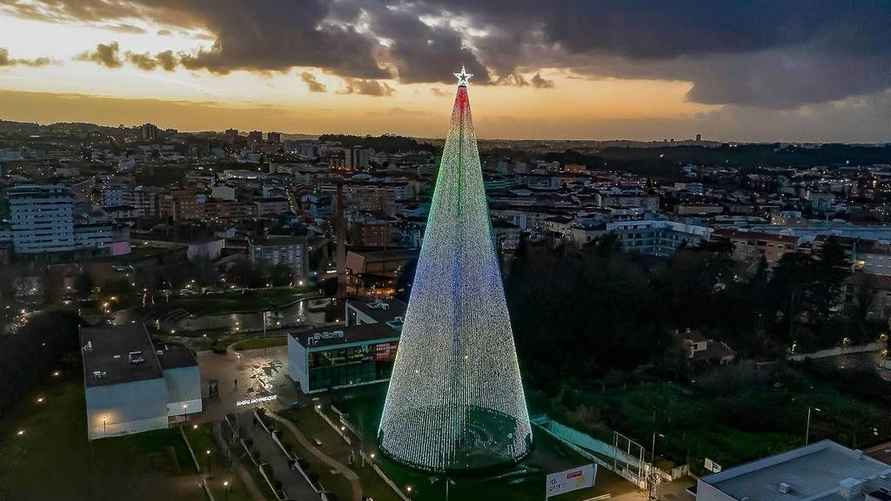 Ёлка высотой в более чем 50 метров на Рождество-2025 в Португалии