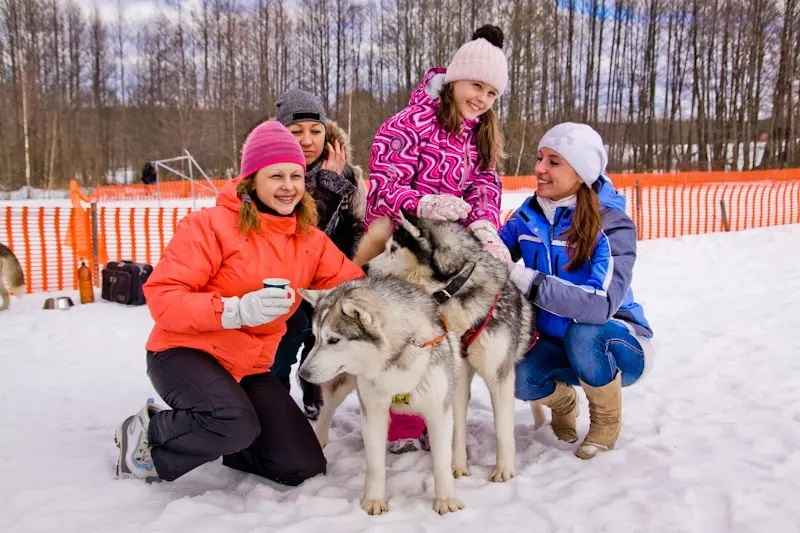 Рестораны, усадьбы и арт-пространства. Посмотрели цены на разные варианты новогодних корпоративов в 2024 году