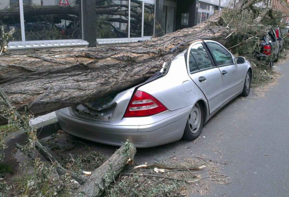 Фото иллюстрационное