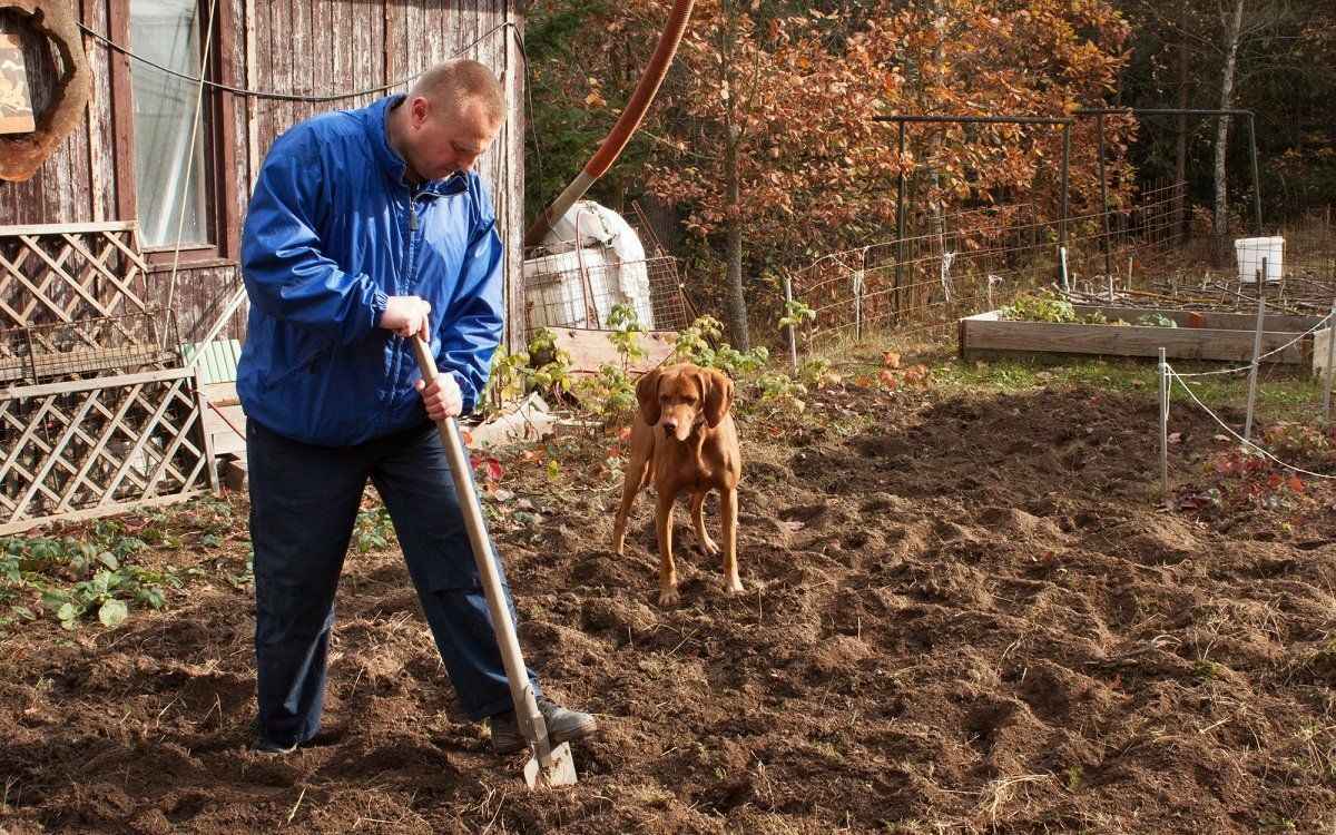 Власти Беларуси продлили сроки "земельной амнистии". До какого года разрешили "привести в порядок" документы?