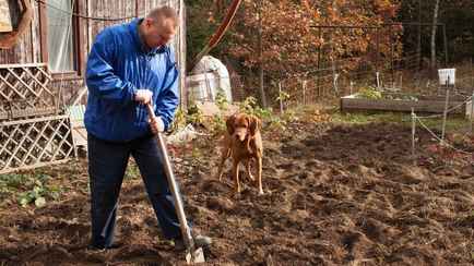 Власти Беларуси продлили сроки «земельной амнистии». До какого года разрешили «привести в порядок» документы?