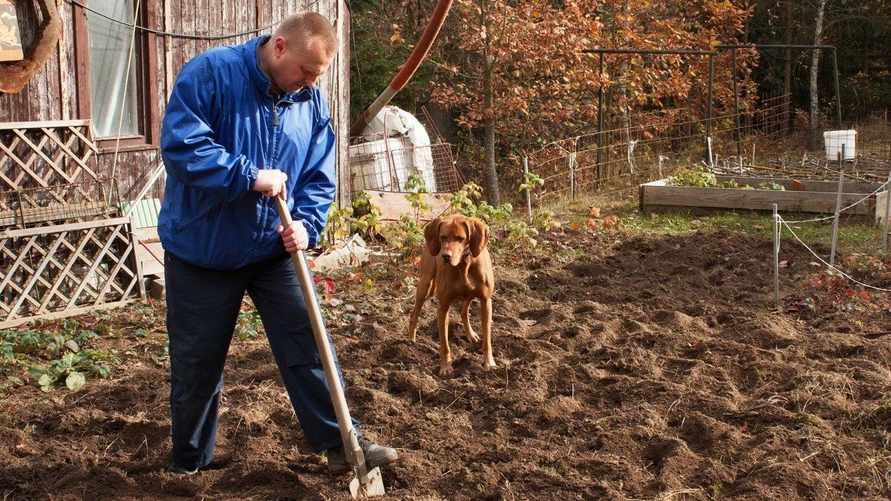 Власти Беларуси продлили сроки "земельной амнистии". До какого года разрешили "привести в порядок" документы?