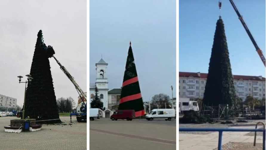 "А чего не первого сентября?" — По всей Беларуси начали ставить новогодние ёлки. Понравилось не всем
