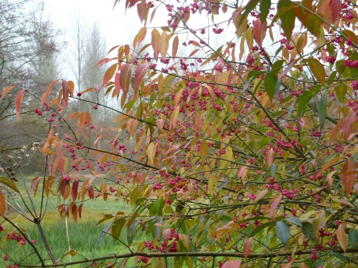 Фото иллюстрационное