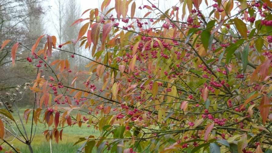 Фото иллюстрационное