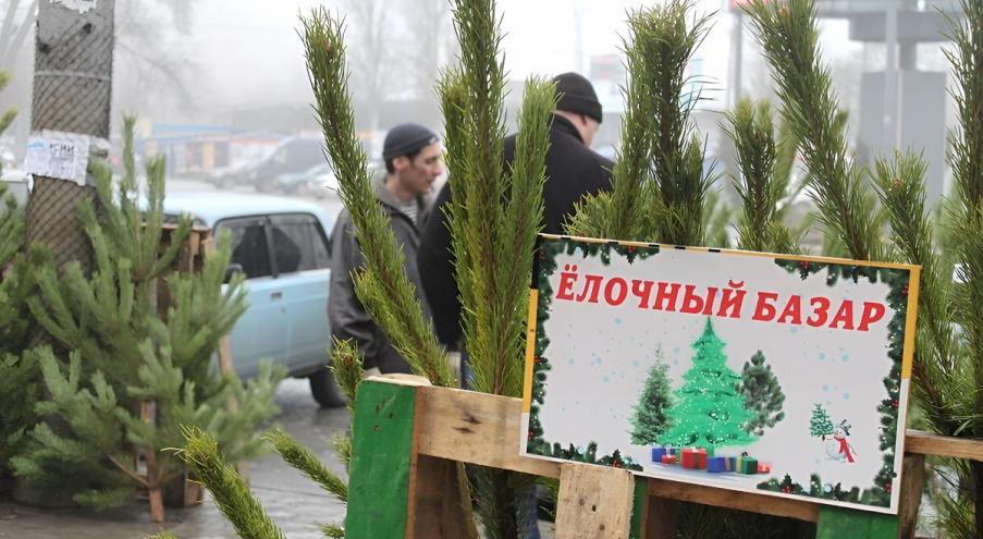 Так, Брестский городской исполнительный комитет 23 ноября сообщил,