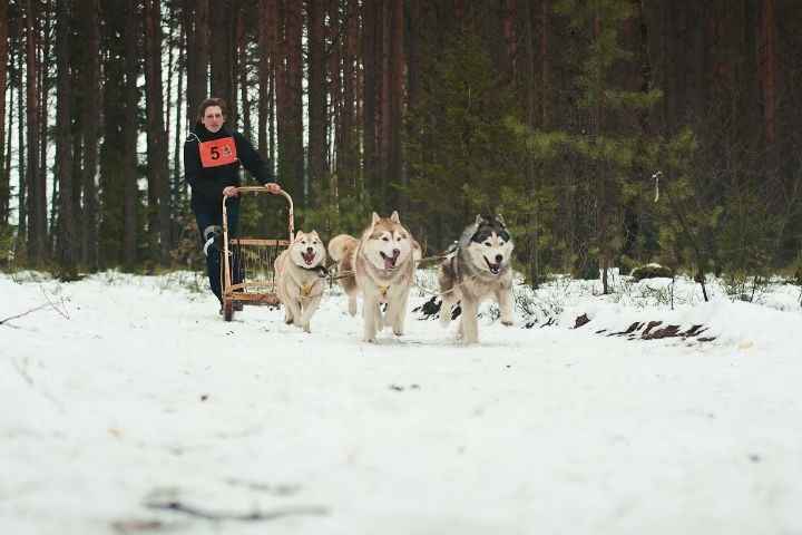 Рестораны, усадьбы и арт-пространства. Посмотрели цены на разные варианты новогодних корпоративов в 2024 году