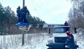 Десятки посёлков и деревень на Могилёвщине остались без электричества и тепла из-за снегопадов