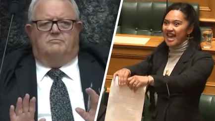 «В каждой непонятной ситуации так делают!» — Боевой танец депутатов от народа маори в парламенте Новой Зеландии взорвал TikTok