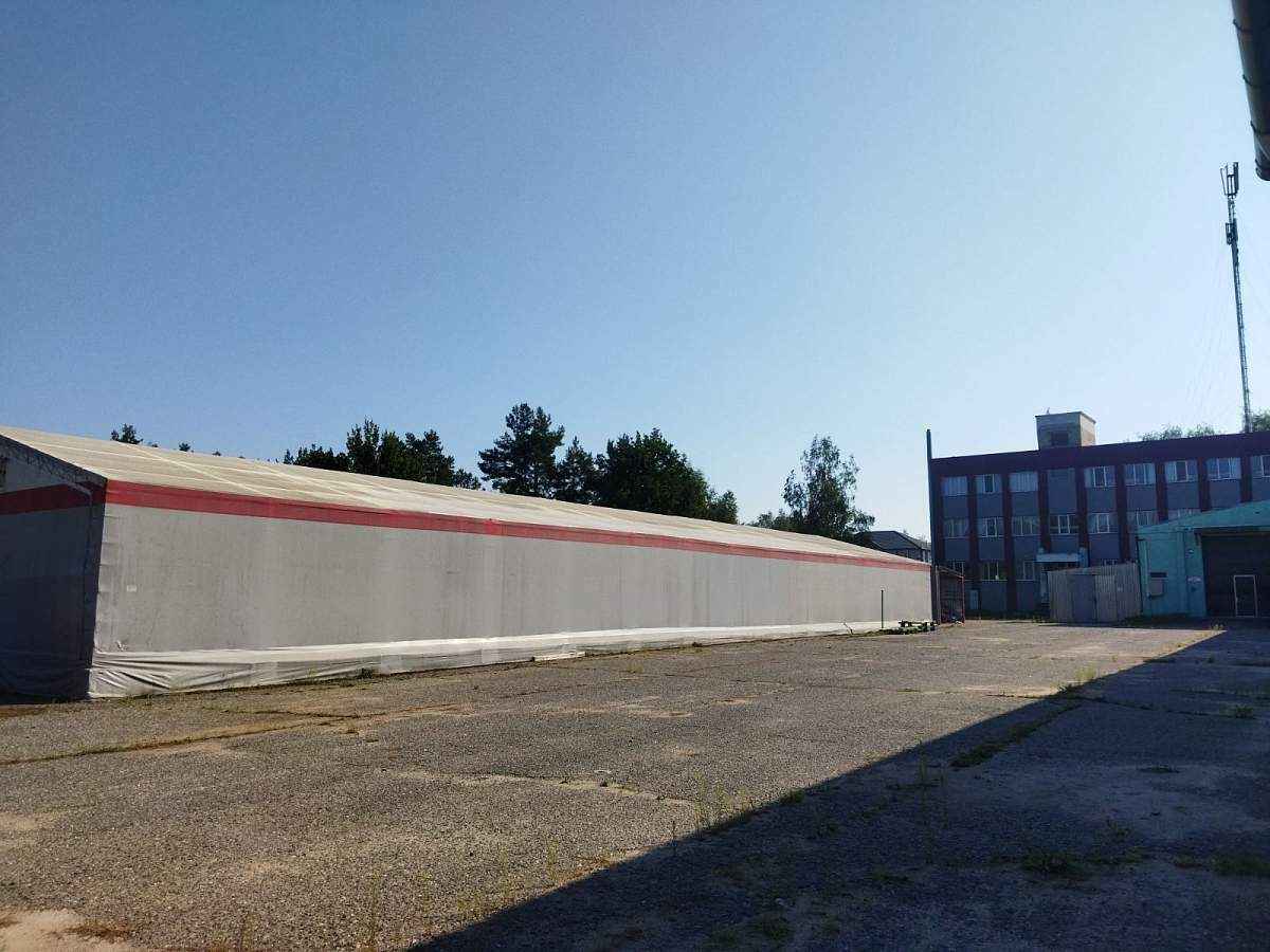 В Гродно выставили на продажу фабрику матрасов для Европы. Сколько попросили?