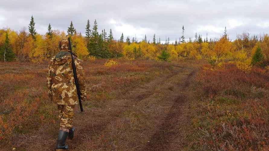 Фото иллюстративное