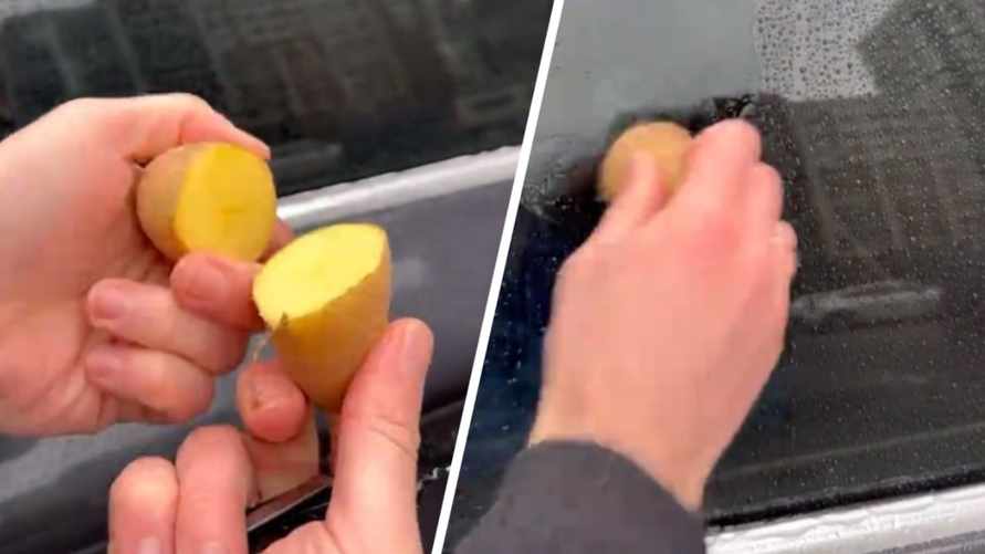 "Люди, как вы в школе учились?" - В TikTok проверили совет натирать картошкой стекло автомобиля. Что из этого вышло?