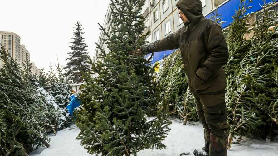 Фото иллюстративное