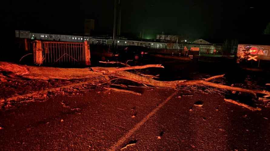 Улетевшие теплицы, повреждённые авто и тысячи домов без света. МЧС Беларуси и энергетики показали последствия сильного ветра