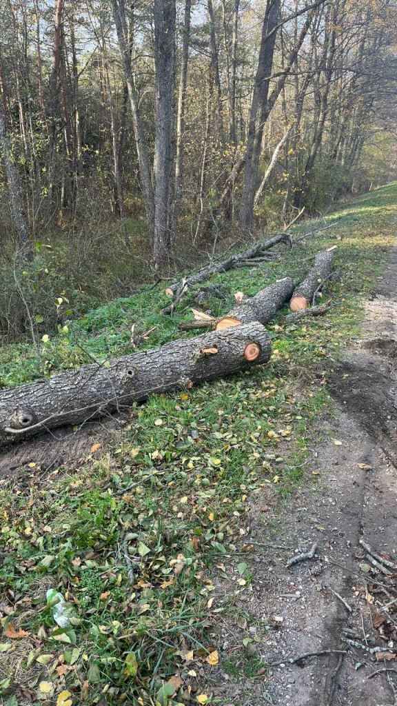 Улетевшие теплицы, повреждённые авто и тысячи домов без света. МЧС Беларуси и энергетики показали последствия сильного ветра