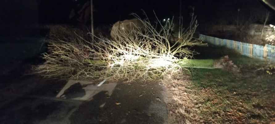 Улетевшие теплицы, повреждённые авто и тысячи домов без света. МЧС Беларуси и энергетики показали последствия сильного ветра