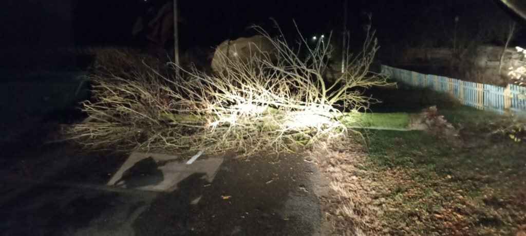 Улетевшие теплицы, повреждённые авто и тысячи домов без света. МЧС Беларуси и энергетики показали последствия сильного ветра