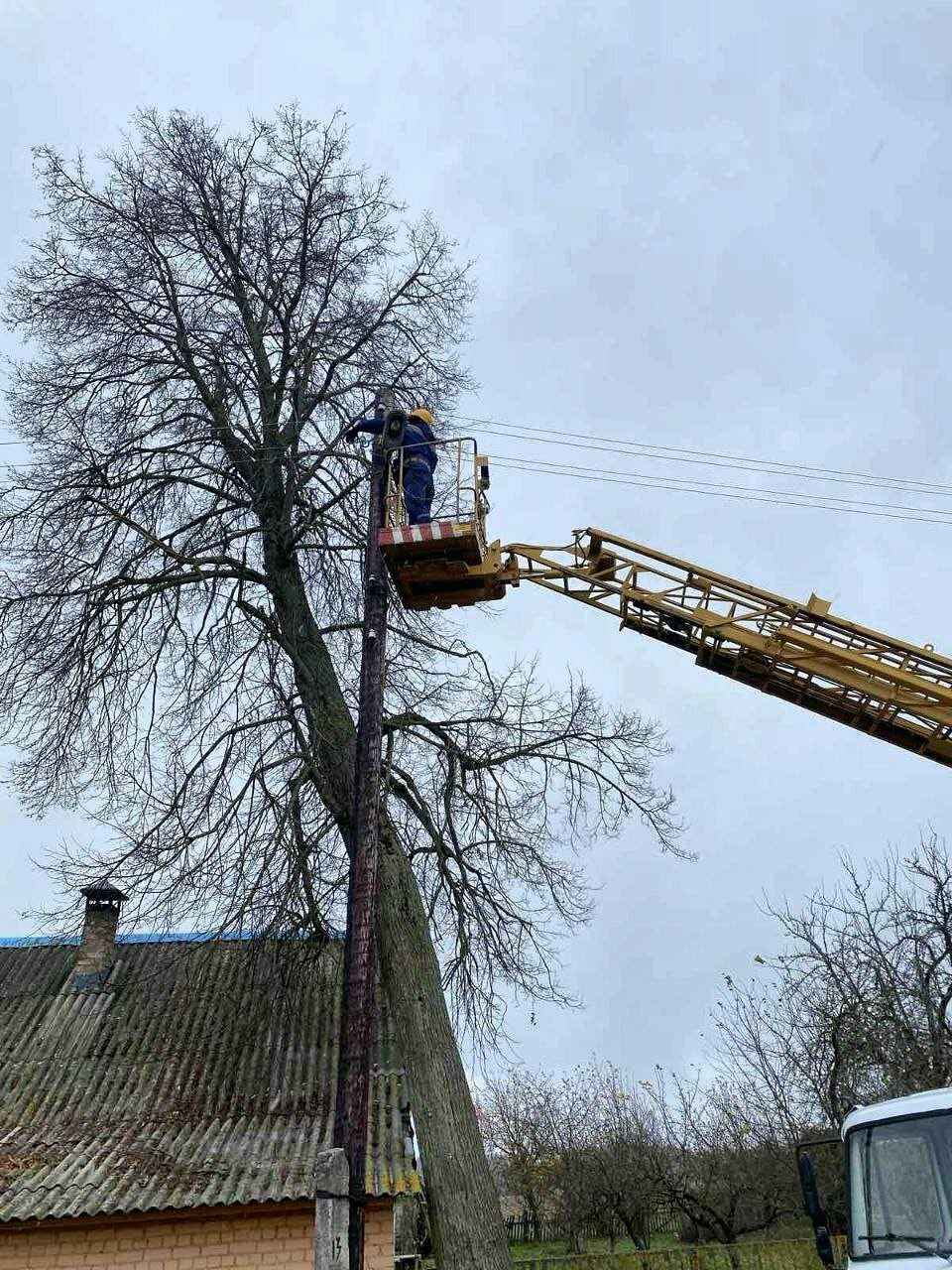 Улетевшие теплицы, повреждённые авто и тысячи домов без света. МЧС Беларуси и энергетики показали последствия сильного ветра