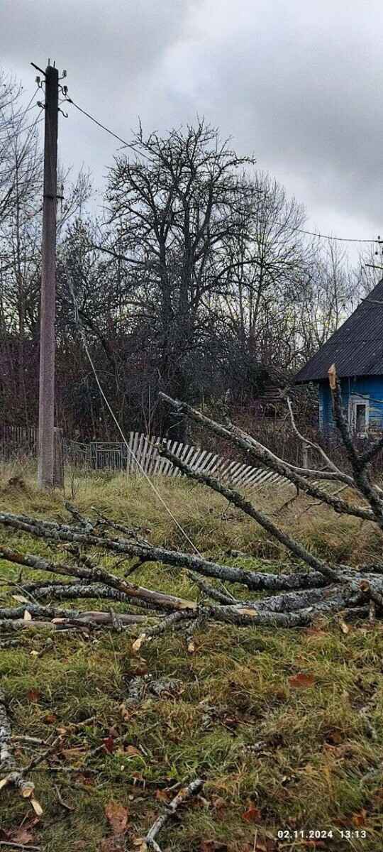 Улетевшие теплицы, повреждённые авто и тысячи домов без света. МЧС Беларуси и энергетики показали последствия сильного ветра