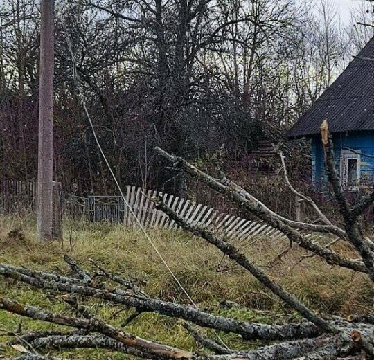 Улетевшие теплицы, повреждённые авто и тысячи домов без света. МЧС Беларуси и энергетики показали последствия сильного ветра