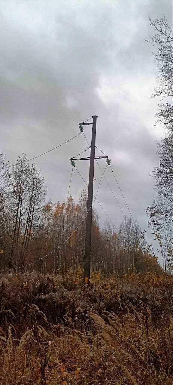 Улетевшие теплицы, повреждённые авто и тысячи домов без света. МЧС Беларуси и энергетики показали последствия сильного ветра