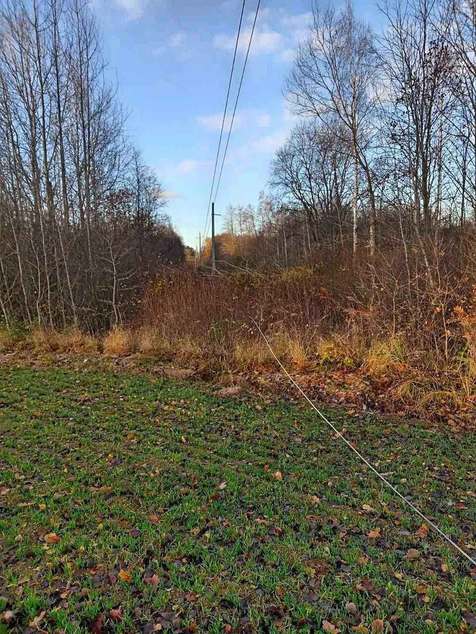 Улетевшие теплицы, повреждённые авто и тысячи домов без света. МЧС Беларуси и энергетики показали последствия сильного ветра