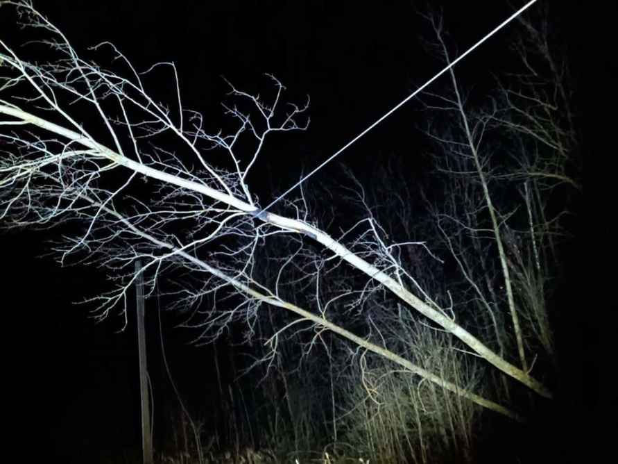 Улетевшие теплицы, повреждённые авто и тысячи домов без света. МЧС Беларуси и энергетики показали последствия сильного ветра