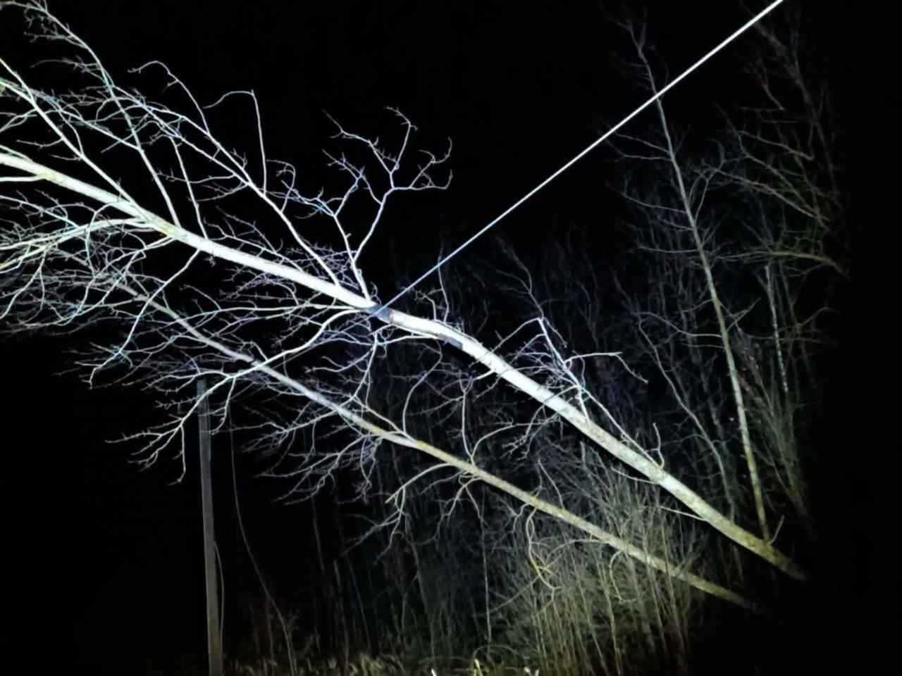 Улетевшие теплицы, повреждённые авто и тысячи домов без света. МЧС Беларуси и энергетики показали последствия сильного ветра