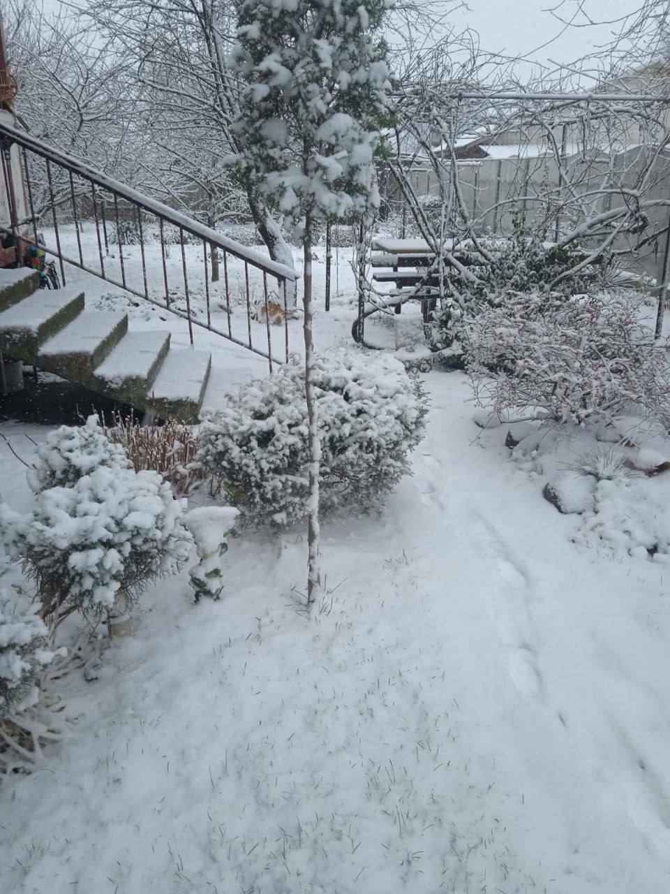 Белорусы поделились кадрами «настоящей зимы» и первых снеговиков, а ЖКХ перевели на усиленный режим