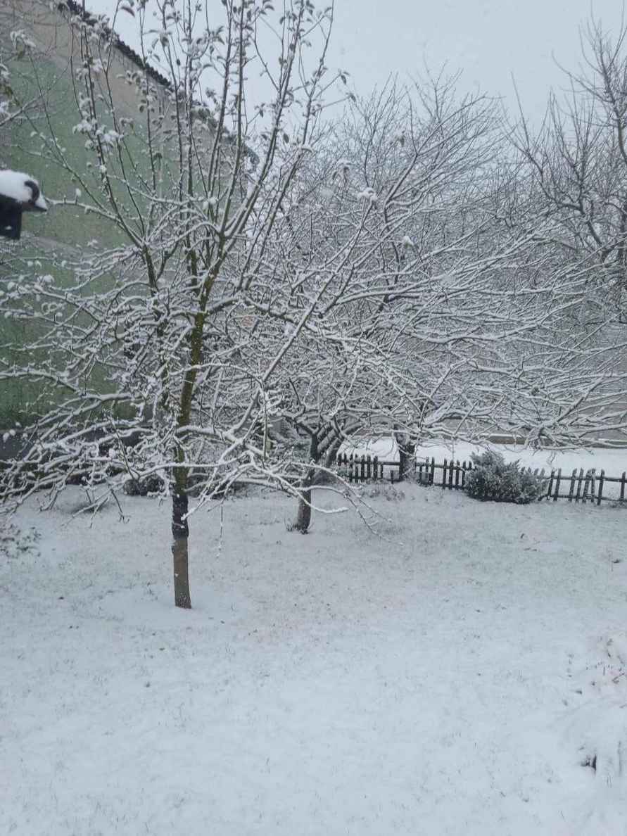 Белорусы поделились кадрами «настоящей зимы» и первых снеговиков, а ЖКХ перевели на усиленный режим