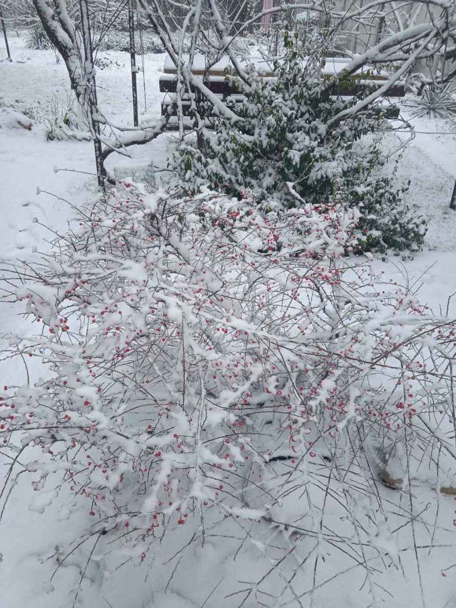 Белорусы поделились кадрами «настоящей зимы» и первых снеговиков, а ЖКХ перевели на усиленный режим