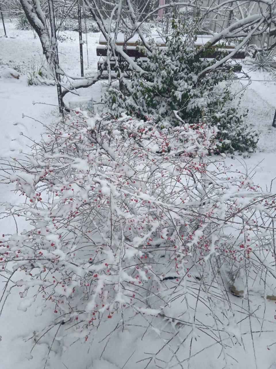 Белорусы поделились кадрами «настоящей зимы» и первых снеговиков, а ЖКХ перевели на усиленный режим