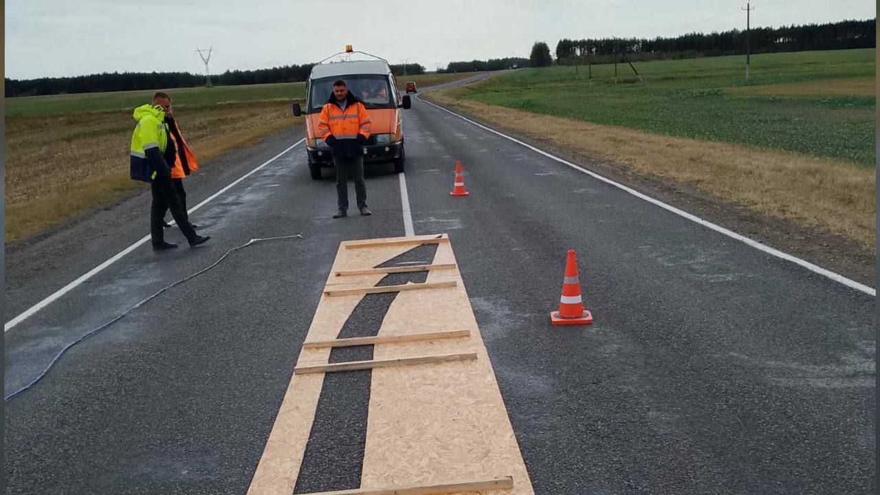 На дорогах Гомельской области нанесли новую разметку в виде кривых стрелок. В ГАИ рассказали зачем