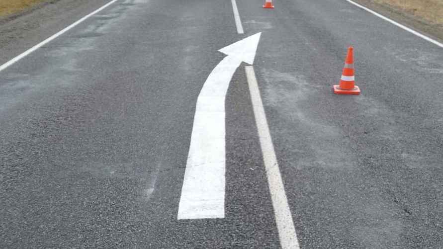 Фото: ГАИ Гомельского облисполкома