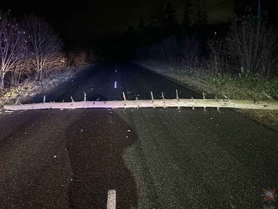 Штормовой ветер оставил без света 226 деревень и посёлков Беларуси