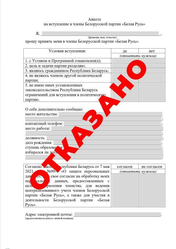 "Белая Русь" отказалась принять в партию блогеров Дим Димыча и Ульку Пульку. Как объяснили?