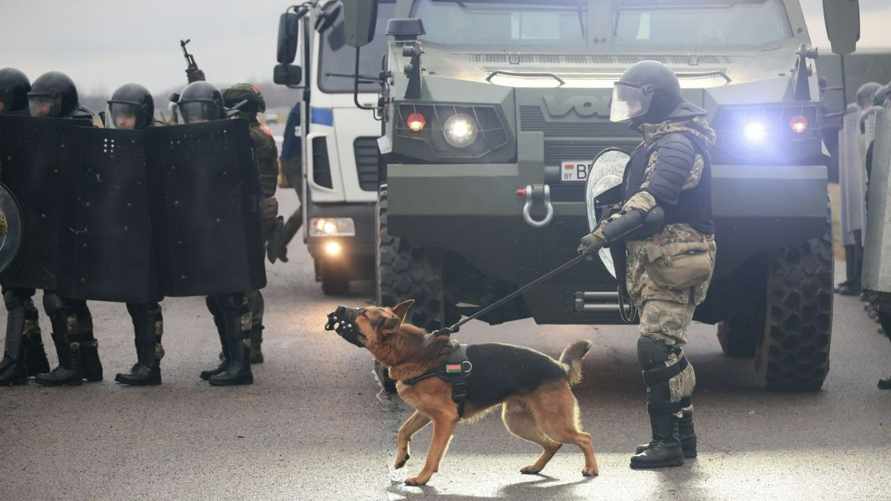 Фото: МВД Беларуси