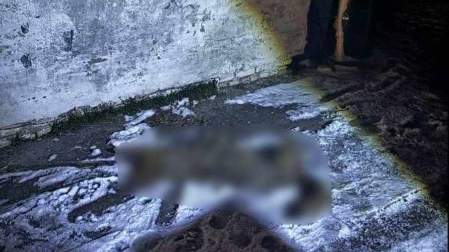 Фото: МВД Беларуси