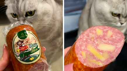 «Картошка по цене колбасы» — Белорусы раскрыли цену сервелата с картофелем фри. А что со вкусом?