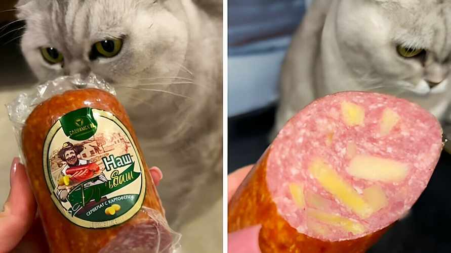 "Картошка по цене колбасы" — Белорусы раскрыли цену сервелата с картофелем фри. А что со вкусом?