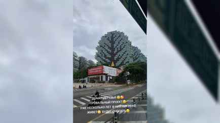 «Майнкрафт в реальной жизни» — В TikTok показали китайские дома-деревья «под снос». Комментаторы возмутились