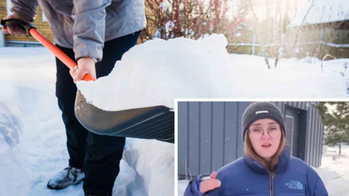 "До 10-15 процентов урожая больше" — Растениевод назвала кустарник, на который нужно сбрасывать "весь снег с участка"