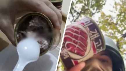 Российским солдатам выдали консервы из собачатины — Bild