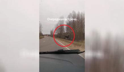 Дело было в пятницу, 8 ноября. На объездной