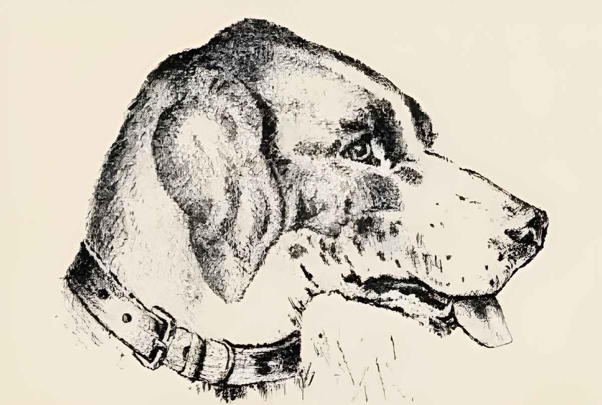 Только 1% людей может увидеть здесь лицо человека. Проверьте, вы ли среди них