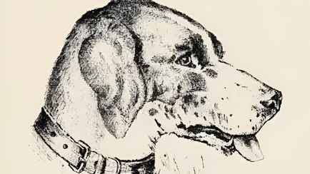 Только 1% людей может увидеть здесь лицо человека. Проверьте, вы ли среди них