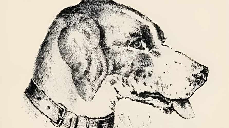 Только 1% людей может увидеть здесь лицо человека. Проверьте, вы ли среди них