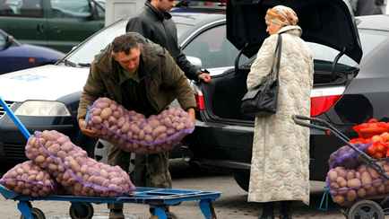 Минтруда предложило белорусским пенсионерам бесплатно довезти домой покупки с рынка. Как получить помощь?