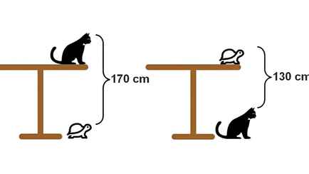 Эта головоломка взбудоражила миллионы пользователей. Сможете ли вы найти высоту стола за 2 минуты?
