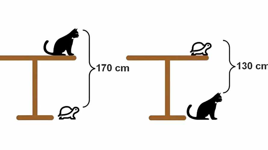 Эта головоломка взбудоражила миллионы пользователей. Сможете ли вы найти высоту стола за 2 минуты?